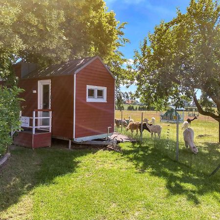 Rubkow Tiny House Auf Der Alpaka Farmヴィラ エクステリア 写真