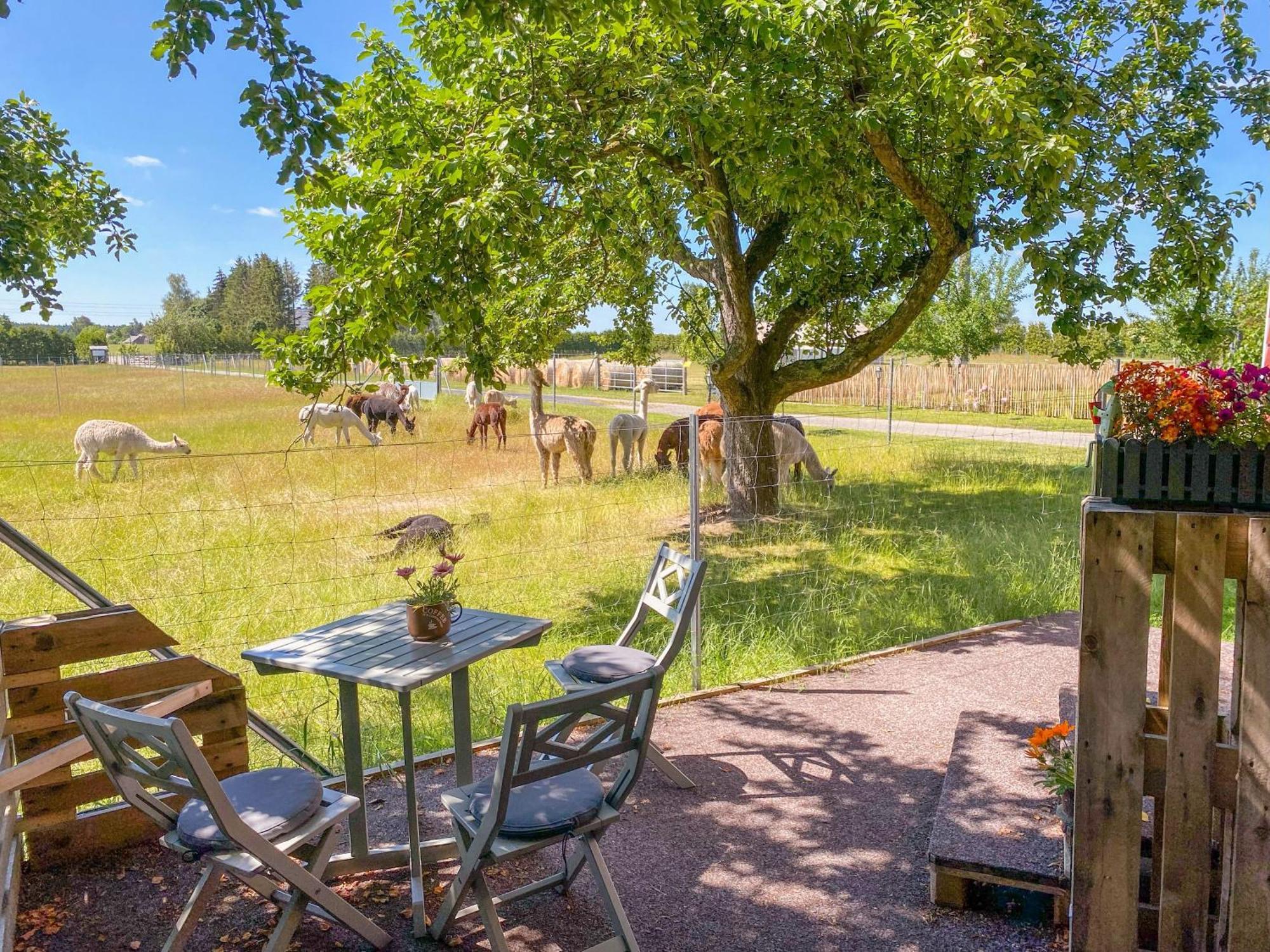 Rubkow Tiny House Auf Der Alpaka Farmヴィラ エクステリア 写真